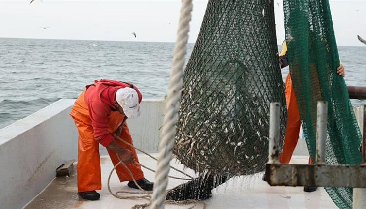 Karadeniz'de mezgit bereketi var ama balıkçılar mazot fiyatından dertli