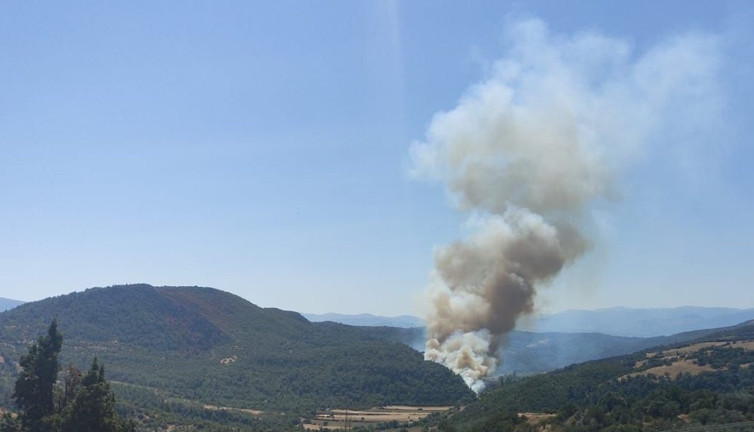 Manisa'da orman yangını (12 Eylül 2023)