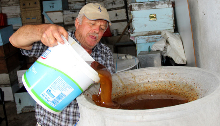 Türkiye'de 15 ton üretildi kilosu 250 TL'den kapışılıyor