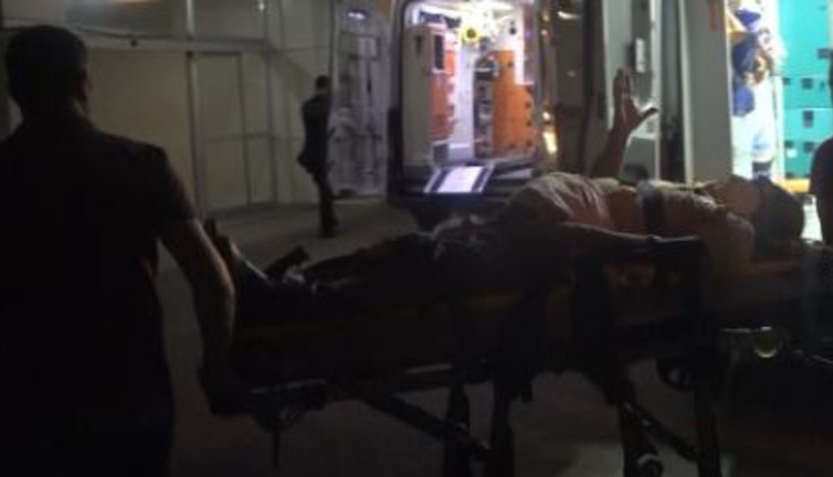 Armut ağacı hastanelik etti