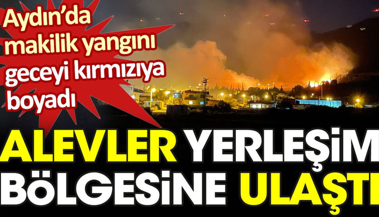 Aydın’da makilik yangını geceyi kızıla boyadı. Alevler yerleşim bölgesine ulaştı