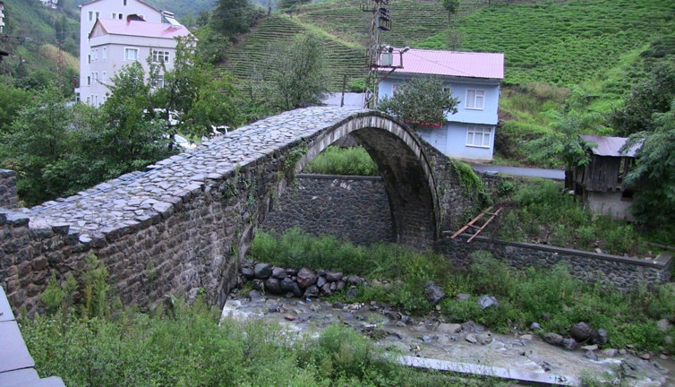 Gürcistan'dan geldi Türkiye'nin köyünü istila etti. Köylünün gözüne uyku girmiyor