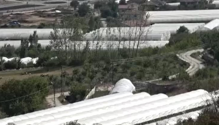 350 dönüme ektiler geçen seneki fiyata satıyorlar