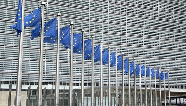 AB Polonya'dan vize usulsüzlüğü iddialarıyla ilgili izahat istedi