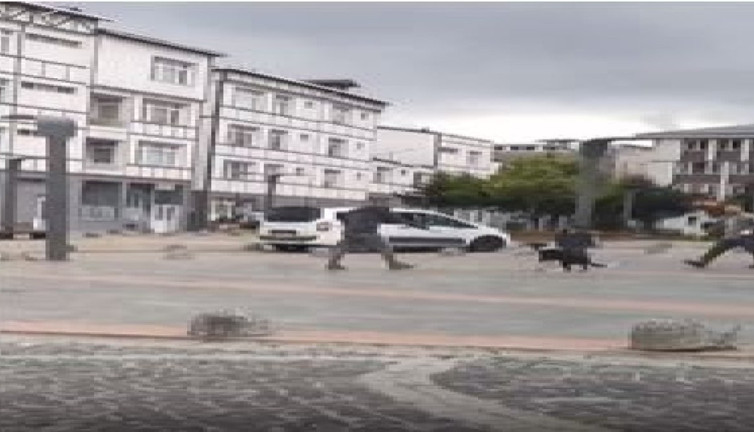 Köpeklerin boynuna ip bağlayıp sürüklediler. Belediye görevlileri bunu yaparsa