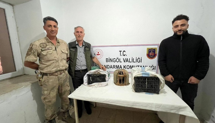 Yasa dışı keklik avlayanlara ceza yağdı