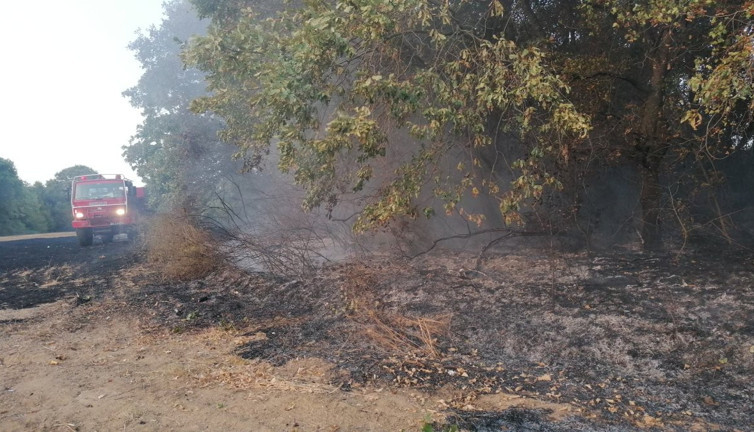 Silivri'de ağaçlara sıçrayan yangın büyümeden söndürüldü