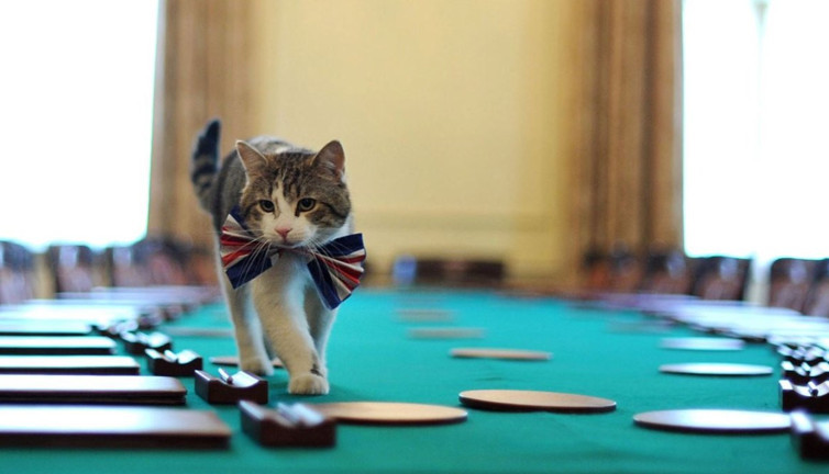 İngiliz kabine ofisinin baş farecisinden kötü haber