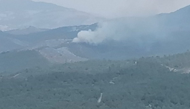 Manisa'da çıkan orman yangını söndürüldü