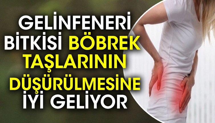 Böbrek taşlarının düşürülmesine çare mucize ot