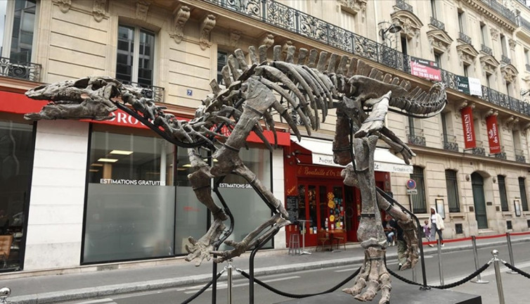 150 milyon yıllık dinozor iskeleti açık artırmada. Fiyatı 1,2 milyon Euro’ya çıkabilir