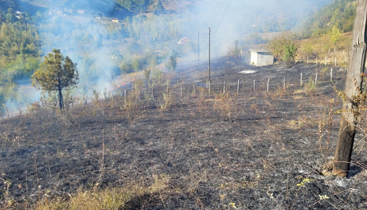 Jandarmanın dikkati orman yangınını önledi