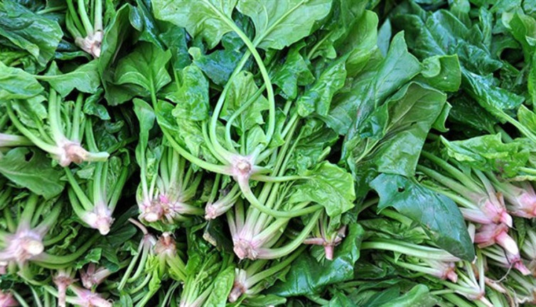 İşte mucize bir sebze