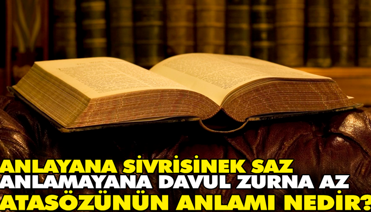 Anlayana sivrisinek saz anlamayana davul zurna az atasözünün anlamı nedir?