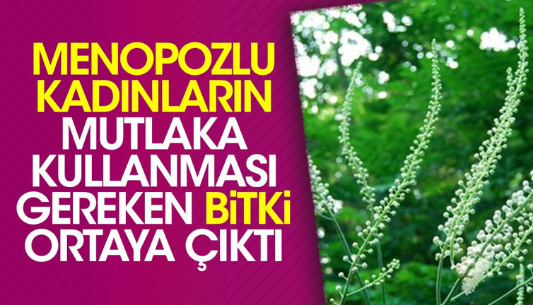 Menopozlu kadınların mutlaka kullanması gereken bitki ortaya çıktı