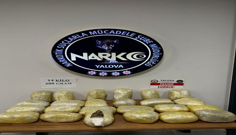 Yalova’da kilolarca skunk ele geçirildi