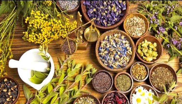 Uzmanı bitkisel tedavi uygulayanları neden uyardı