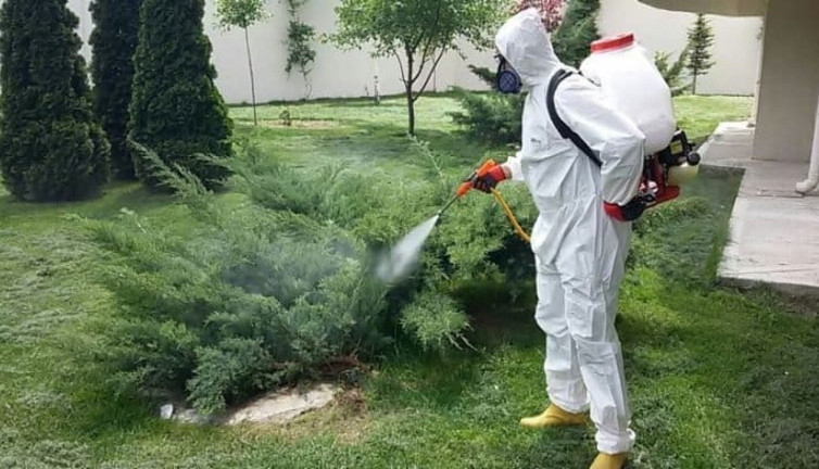 Bilim insanları yeni tehlikenin adını duyurdu. Türkiye'nin her yerinde cirit atıyorlar