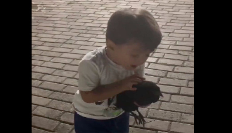 Küçük çocuğun hayvan sevgisi ve sevdirme çabası gülümsetti