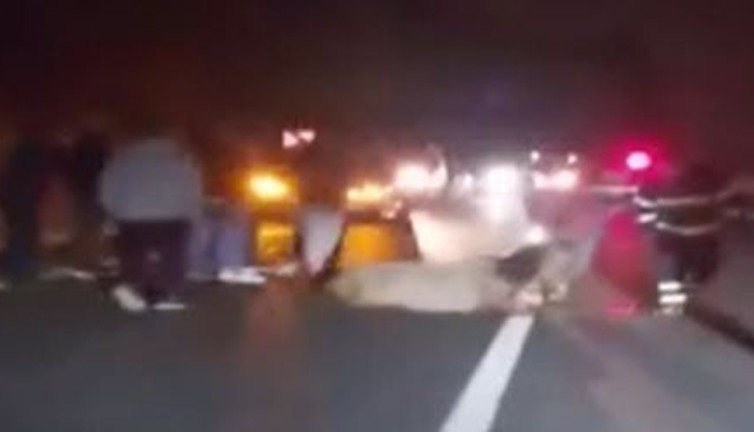 Otomobil atları biçti. 3'ü telef oldu