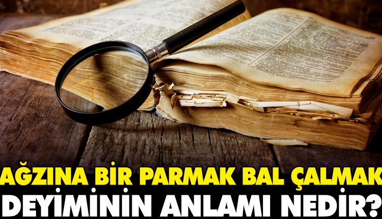Ağzına bir parmak bal çalmak deyiminin anlamı nedir?