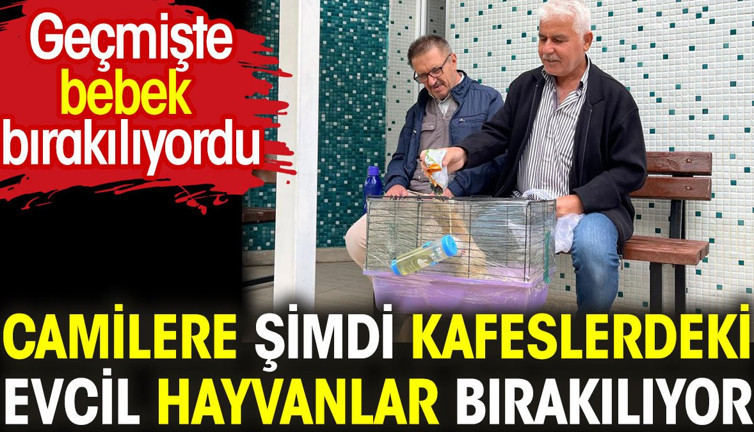 Camilere şimdi kafeslerindeki evcil hayvanlar bırakılıyor. Eskiden bebek bırakılırdı