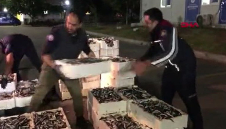 Balık halinde denetim: 3 kişiye 49 lira ceza