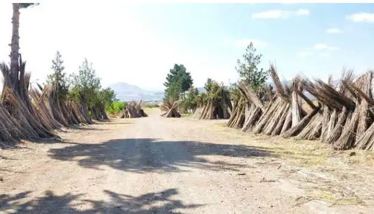 37 yıl önce kapanan dev fabrika geri döndü. Türkiye'nin büyük açığını kapatacak