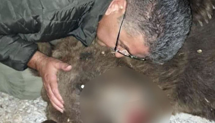 Kazdağları’nda kaza geçirip ölen bozayıya sarılıp öptü