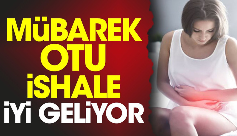 İshale iyi gelen ot (11 Ekim 2023)