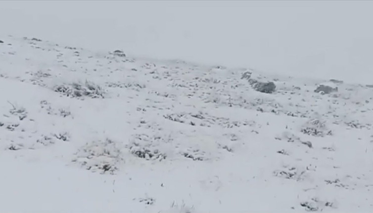 Artvin'in yüksek kesimleri beyaza büründü