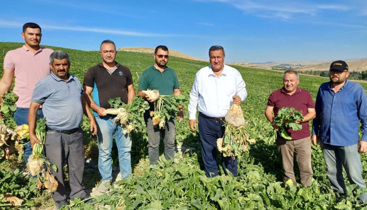 Şeker pancarında taban fiyat talebi: 16 polar için yetersiz