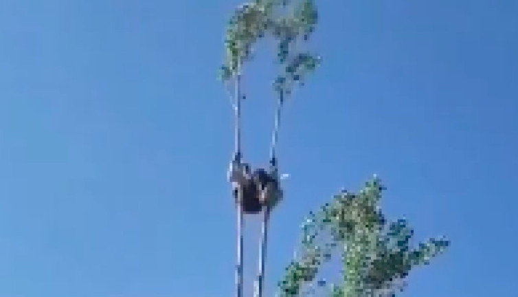 80 yaşında kavak ağacının tepesine çıkıp ters takla atmaya çalıştı