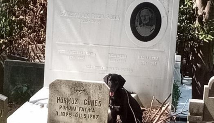 Süleyman Seba’nın mezarını tahrip ettiler