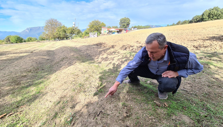 Mutluluk iksirinin hasadı bu sene rötar yaptı. Kanserin öksürüğün kökünü kazıyor