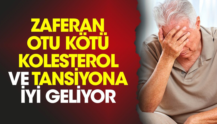 Kötü kolesterol ve tansiyona iyi gelen mucize bitki ortaya çıktı