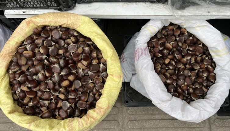 Lezzeti damak çatlatıyor. Fiyatı cep yakıyor. Kilosu 300 lira