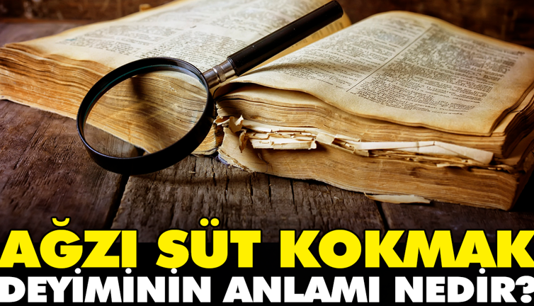 Ağzı süt kokmak deyiminin anlamı nedir?