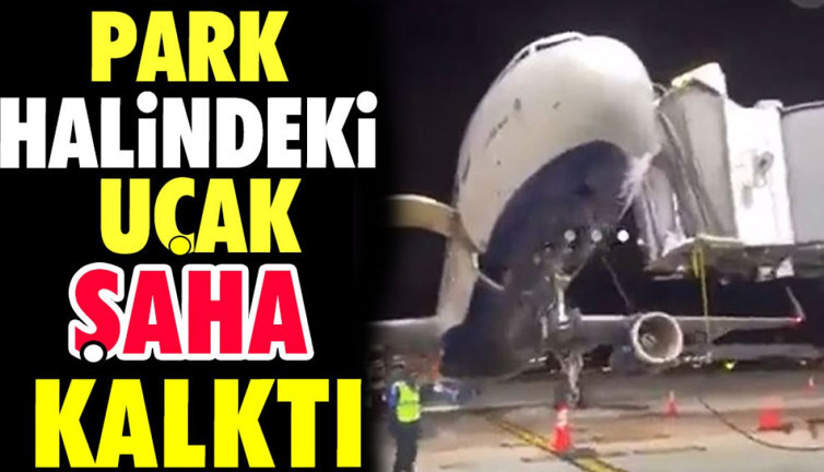 Park halindeki uçak şaha kalktı