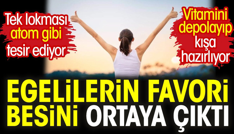 Egelilerin favori besini ortaya çıktı. Tek lokması atom gibi tesir ediyor. Vitamini depolayıp kışa hazırlıyor