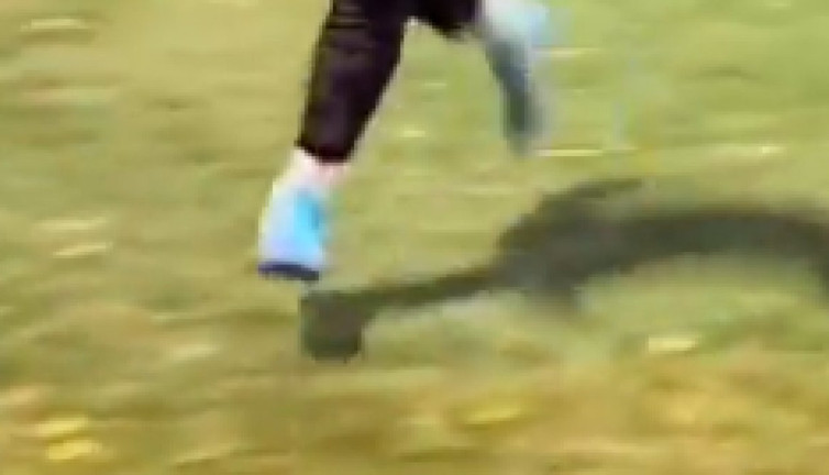 Havada süzülüyor gibi görünüyor ama...