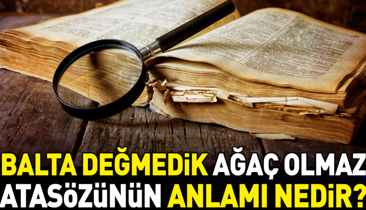 Balta değmedik ağaç olmaz atasözünün anlamı nedir?