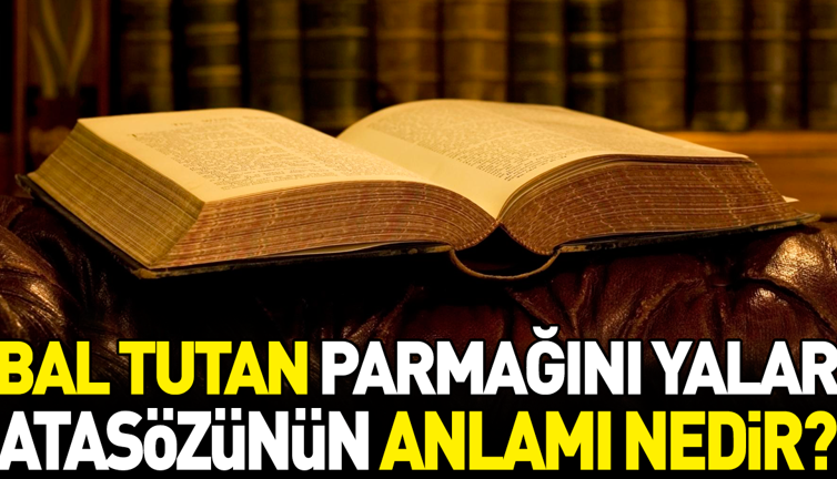 Bal tutan parmağını yalar atasözünün anlamı nedir?