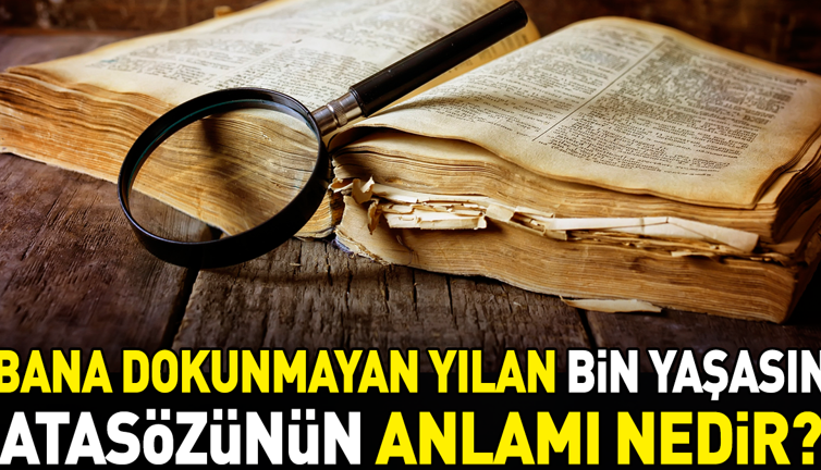 Bana dokunmayan yılan bin yaşasın atasözünün anlamı nedir?