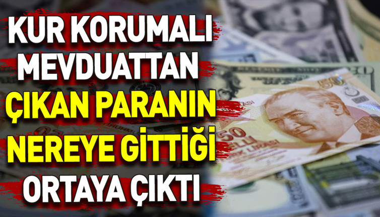 Kur Korumalı Mevduattan çıkan para nereye gittiği ortaya çıktı
