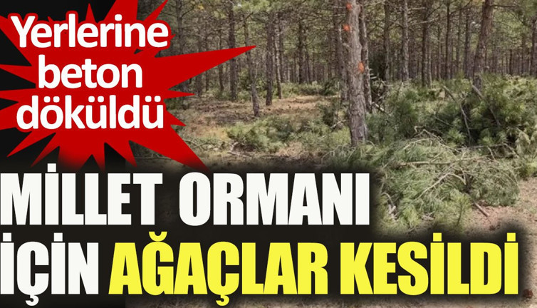 Millet Ormanı için ağaçlar kesildi. Yerlerine beton döküldü