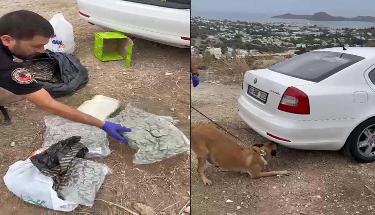 Otomobile gizlenen uyuşturucuyu narkotik köpeği ‘Tina’ buldu