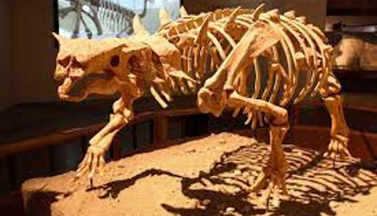 Şimdiye kadar bildiğiniz ‘korkunç sesi’ unutun. Dinozorların sesleriyle ilgili şaşırtıcı bulgular ortaya çıktı