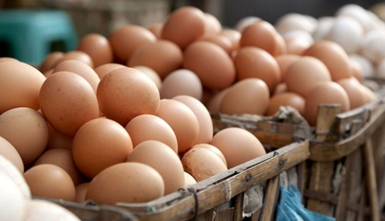 Yumurta üreticilerine 'kartel' soruşturması. Rekor ceza kesildi