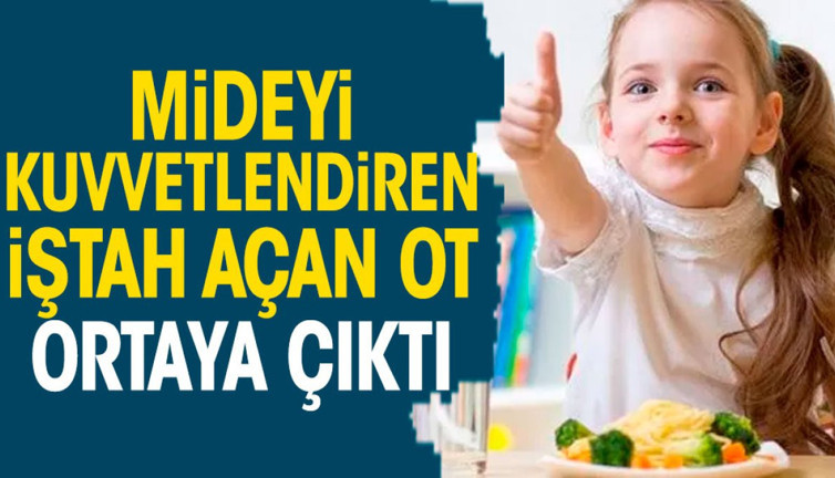 Mideyi kuvvetlendiren iştah açan ot ortaya çıktı